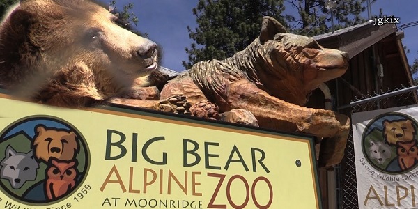 Alpine Zoo